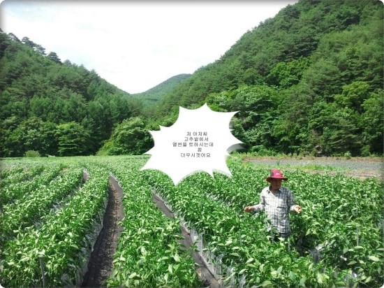찬숙이네 이미지