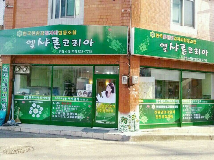 엘샤론 코리아 이미지
