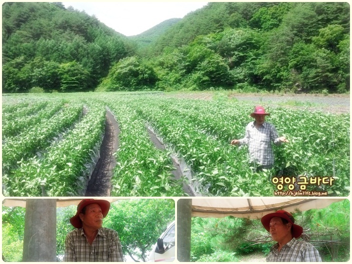 찬숙이네 이미지