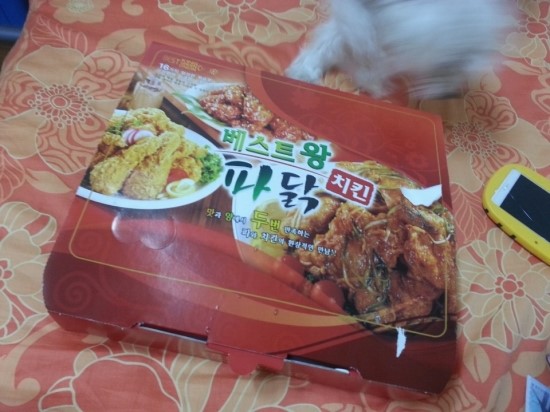 베스트왕파닭&파닭치킨 이미지