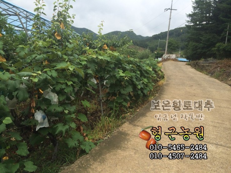 형근농원 이미지