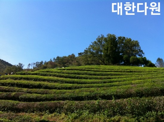 주식회사 다원식품 이미지