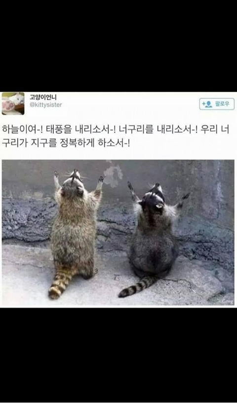 동피랑할매충무김밥 이미지
