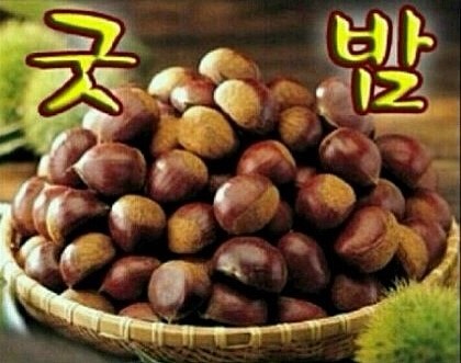 커피스미스포항 이미지