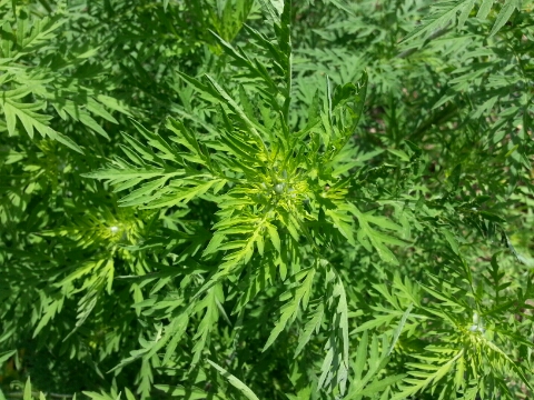 거창프로젝트 이미지