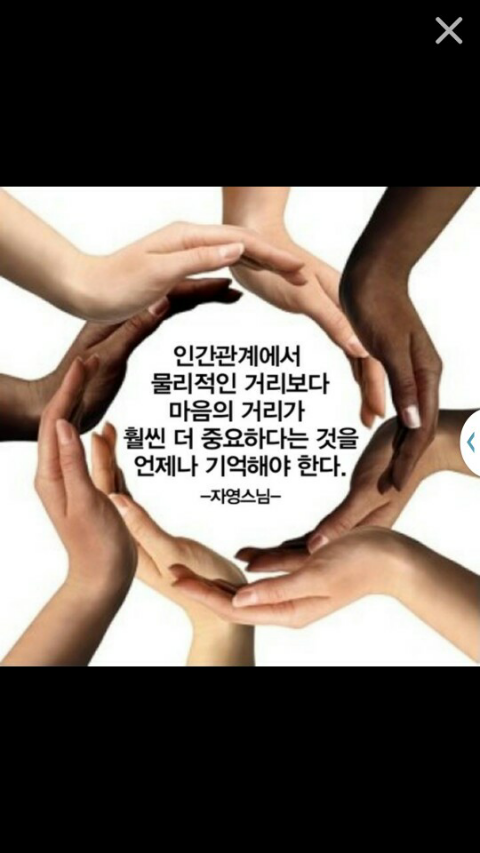 대천가자조개구이 이미지
