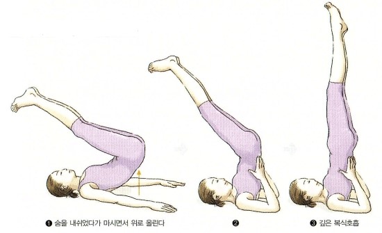 삼초를 튼튼하게 하는 요가(5) : 그 밖에 좋은 자세 - 물구나무서기, 역물구나무서기 : 네이버 블로그