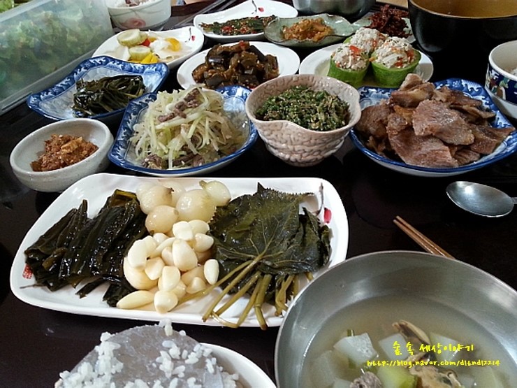 비바리언니 이미지