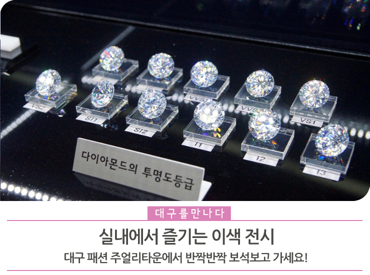 대구패션 이미지
