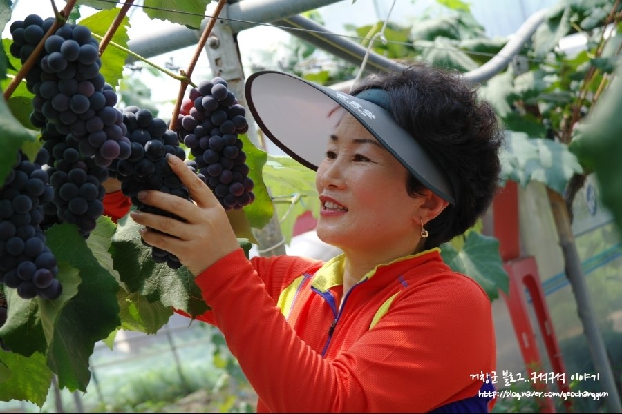 지구촌농원 이미지