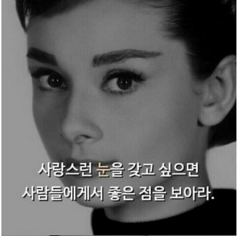 대천가자조개구이 이미지