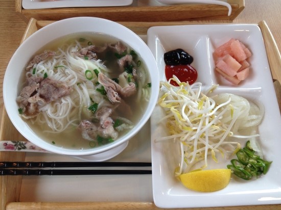 국수바라기 이미지