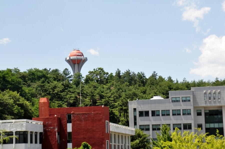 한국이사부학회 이미지