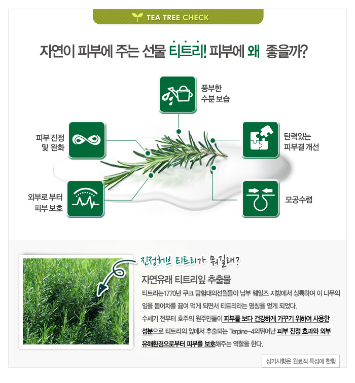 티트리 이미지