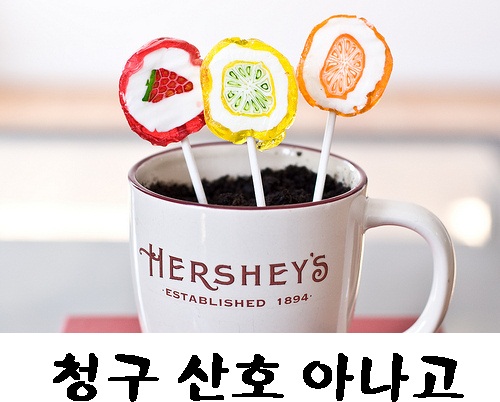 청구산호아나고 이미지