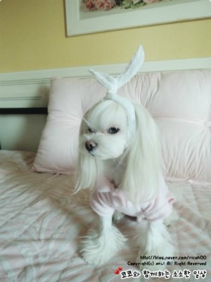 네일모엘르 이미지