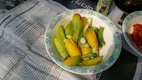 국민 샤슬릭 이미지