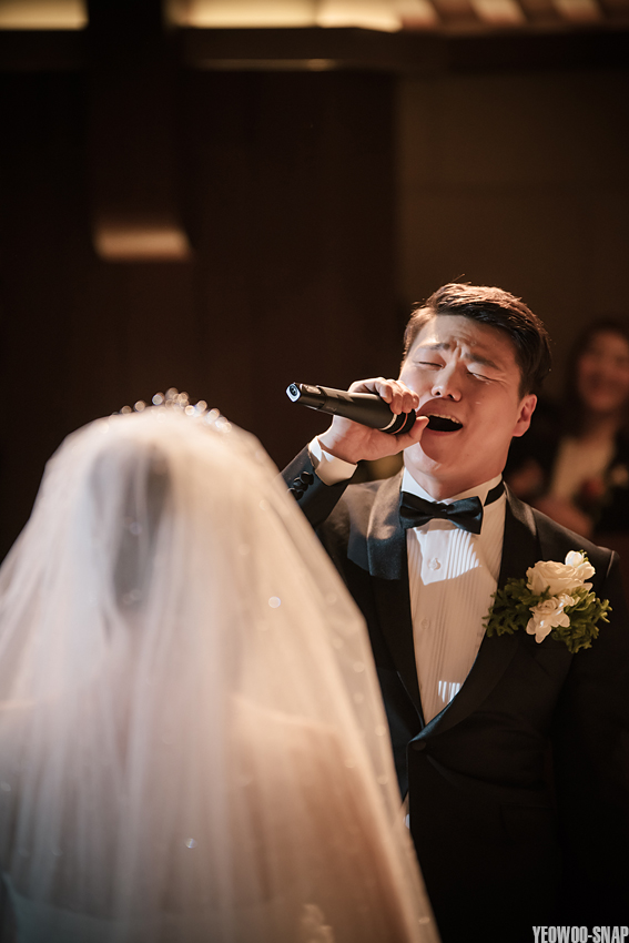 비보루즈 이미지