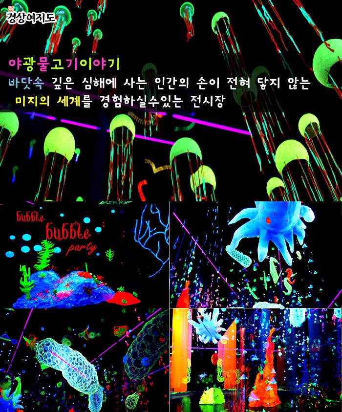 프로방스양궁장 이미지
