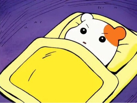 세이브더데이트 이미지