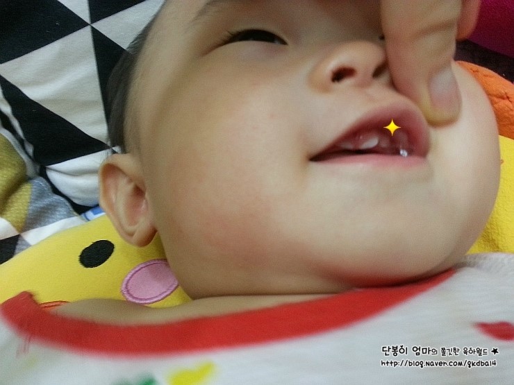 서윤슬 이미지