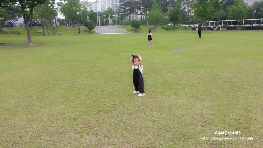 송바이인 이미지