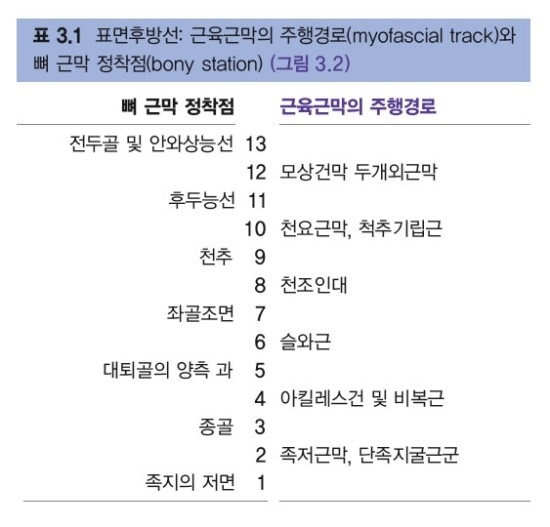 머슬테라피 이미지