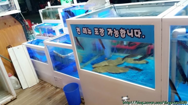 오징어천국 이미지