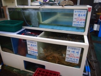 도심속바닷가 이미지