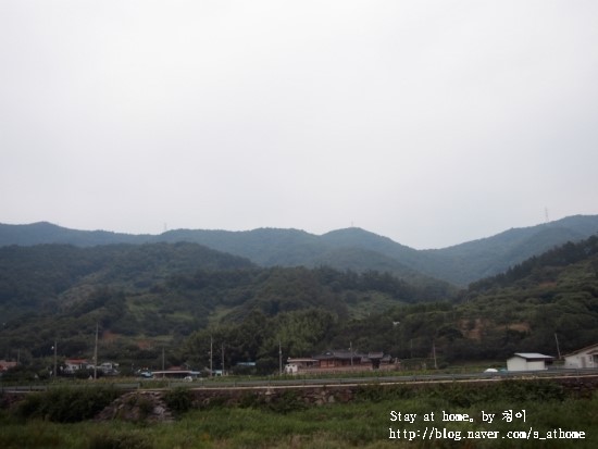 먹뱅이닭숯불구이 이미지