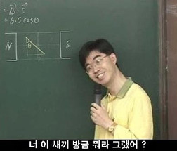 포팅 이미지