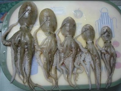 풍차쭈꾸미 이미지
