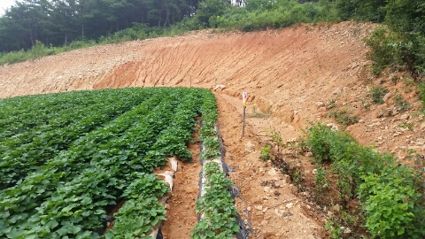 대명농원 이미지