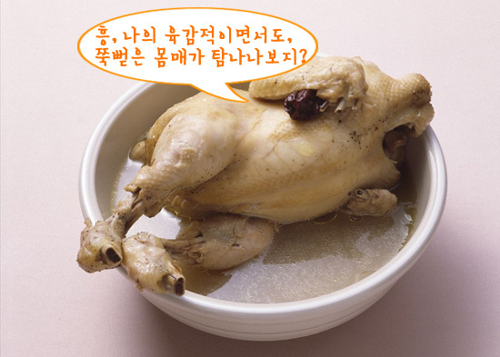 초복삼계탕 이미지