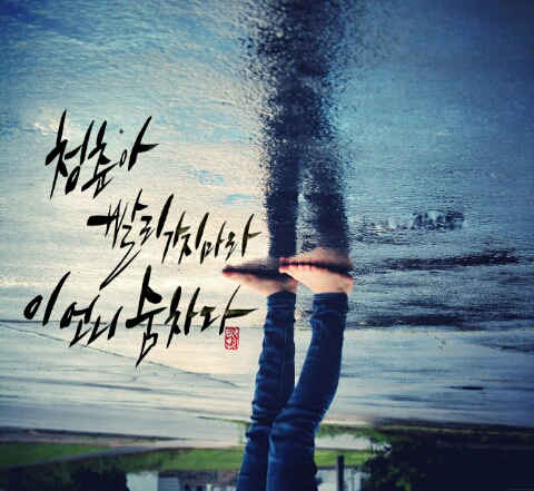 청춘오리 이미지