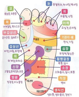 척추지압교정원 이미지
