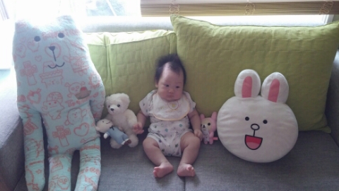미씨콜렉션 이미지