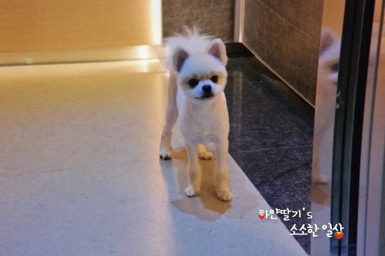 태양엘리베이터(주) 이미지