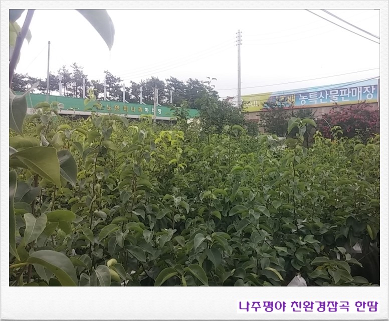 농업회사법인(주)한울타리 이미지