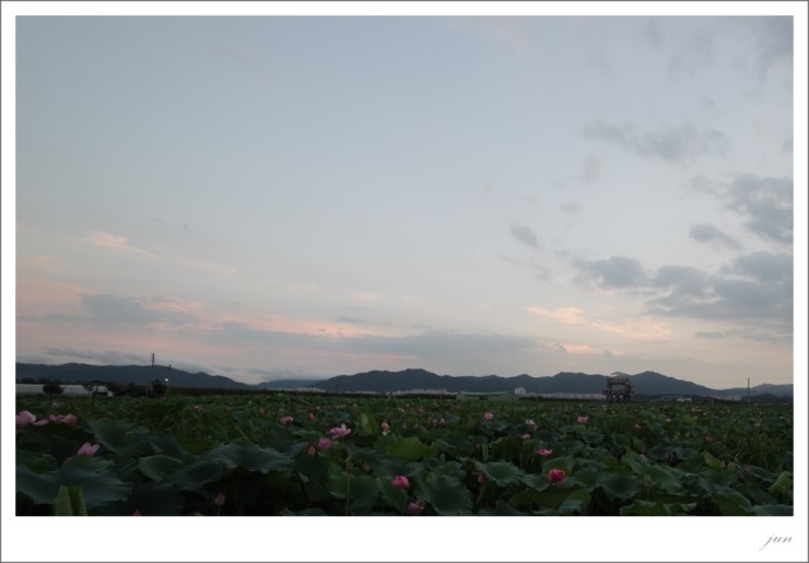 연(然) 이미지
