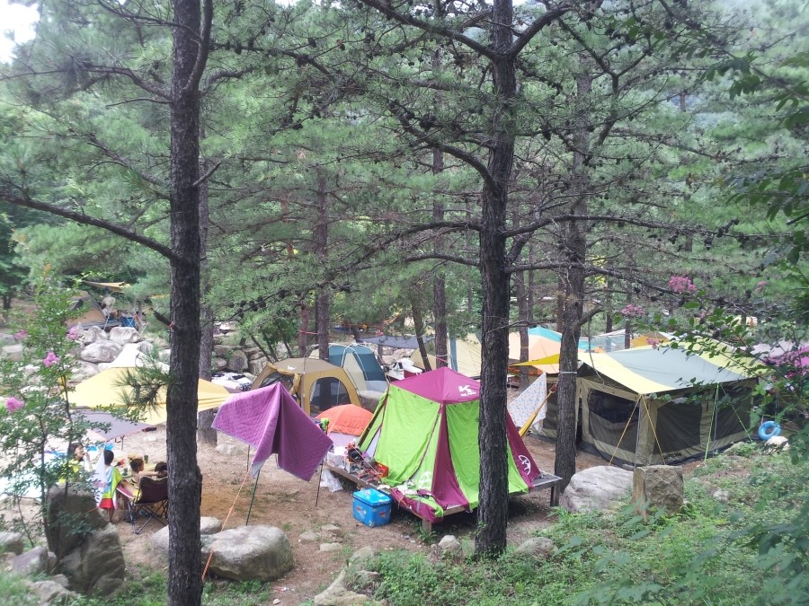 산타 야영장 이미지