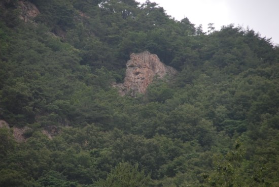보은삼가대추농원 이미지