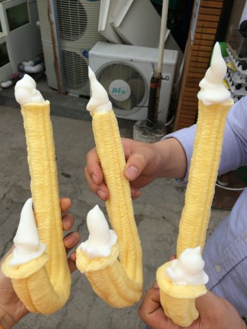 아슈크림 이미지