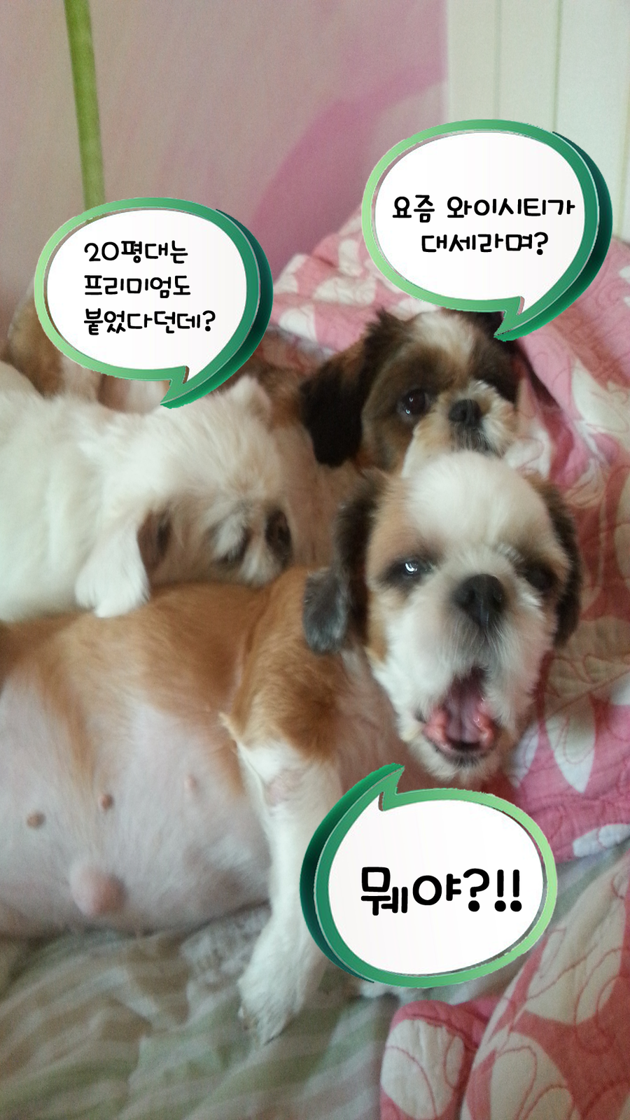 신도강남프라자 이미지