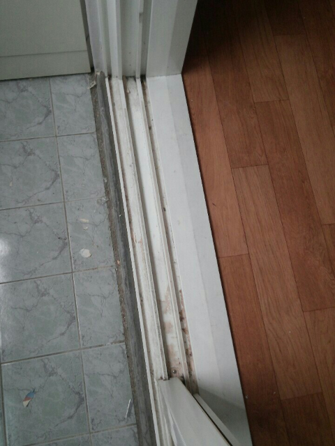미스터크린 이미지