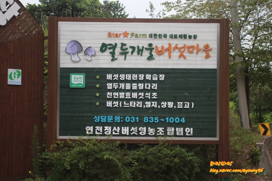 열두개울버섯마을 이미지