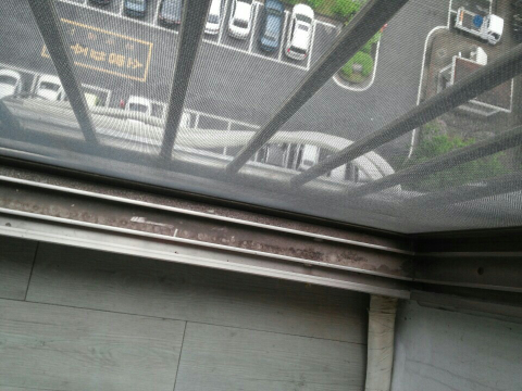미스터크린 이미지
