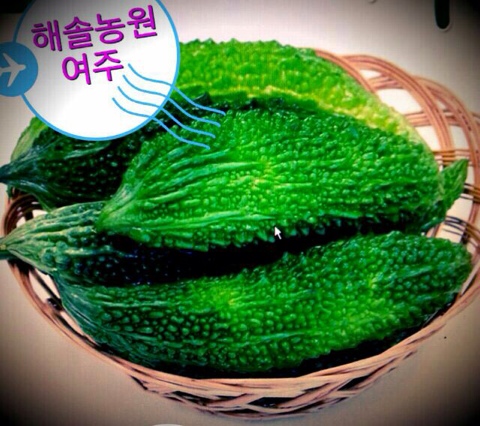 해솔푸드 이미지