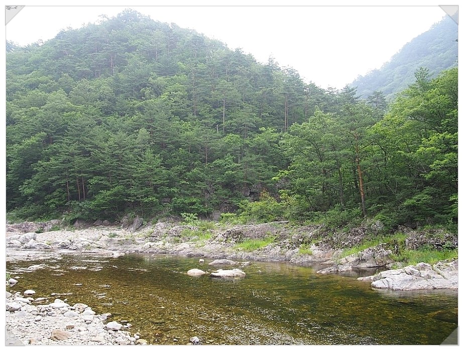 통나무민박 이미지