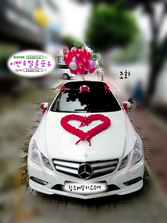 이벤트벌룬포유 이미지
